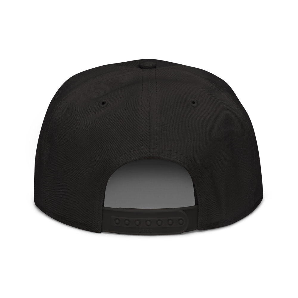 SNAPBACK