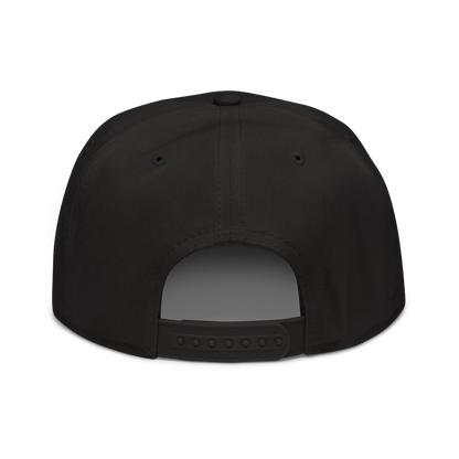 SNAPBACK