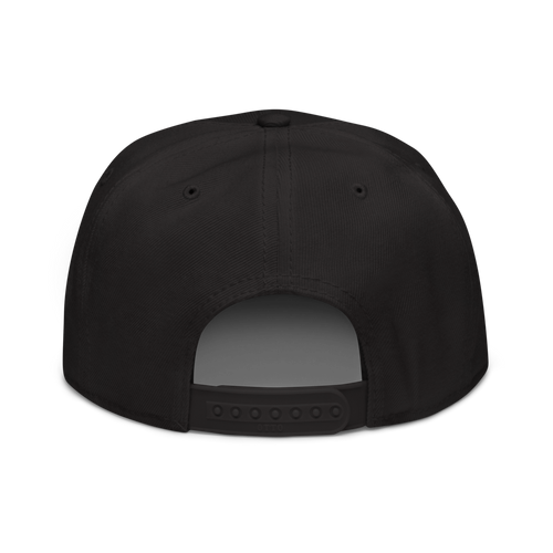 SNAPBACK Hover