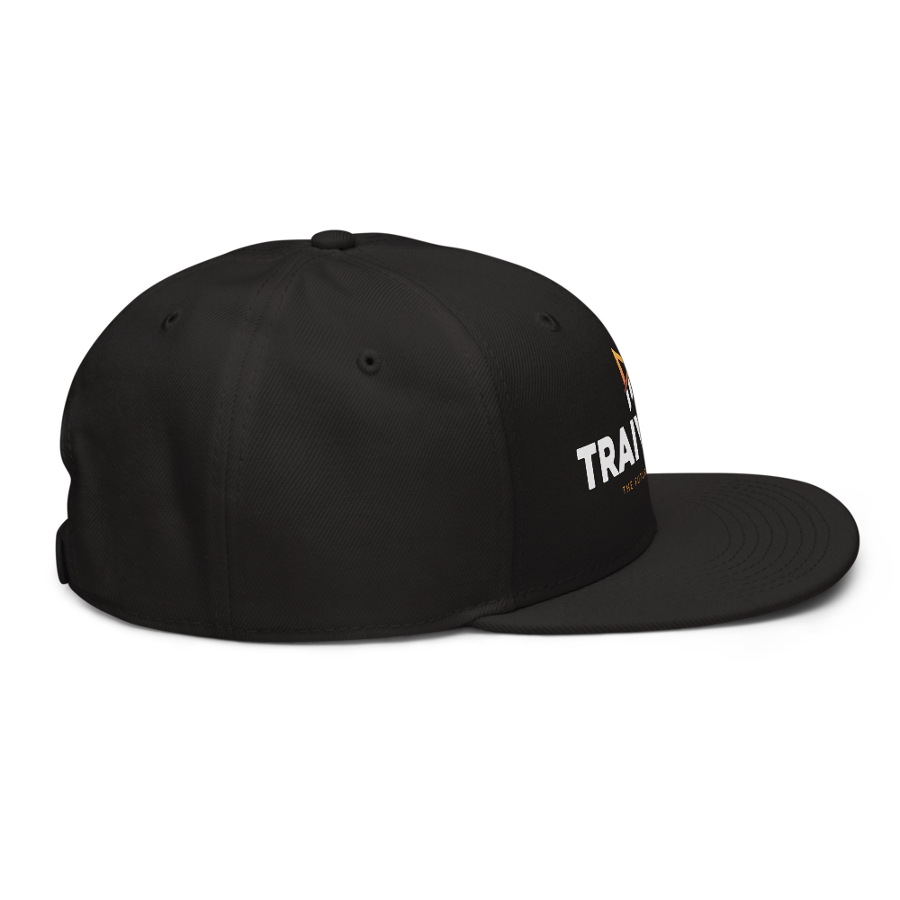 SNAPBACK
